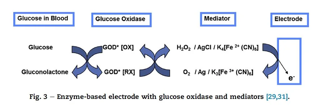 glucose oxidation - electrode sensing.JPG