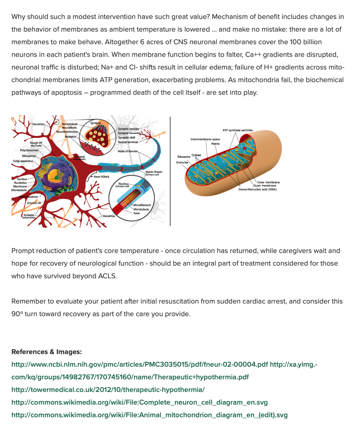 Screen Shot 2019-01-04 at 7.16.38 AM.png