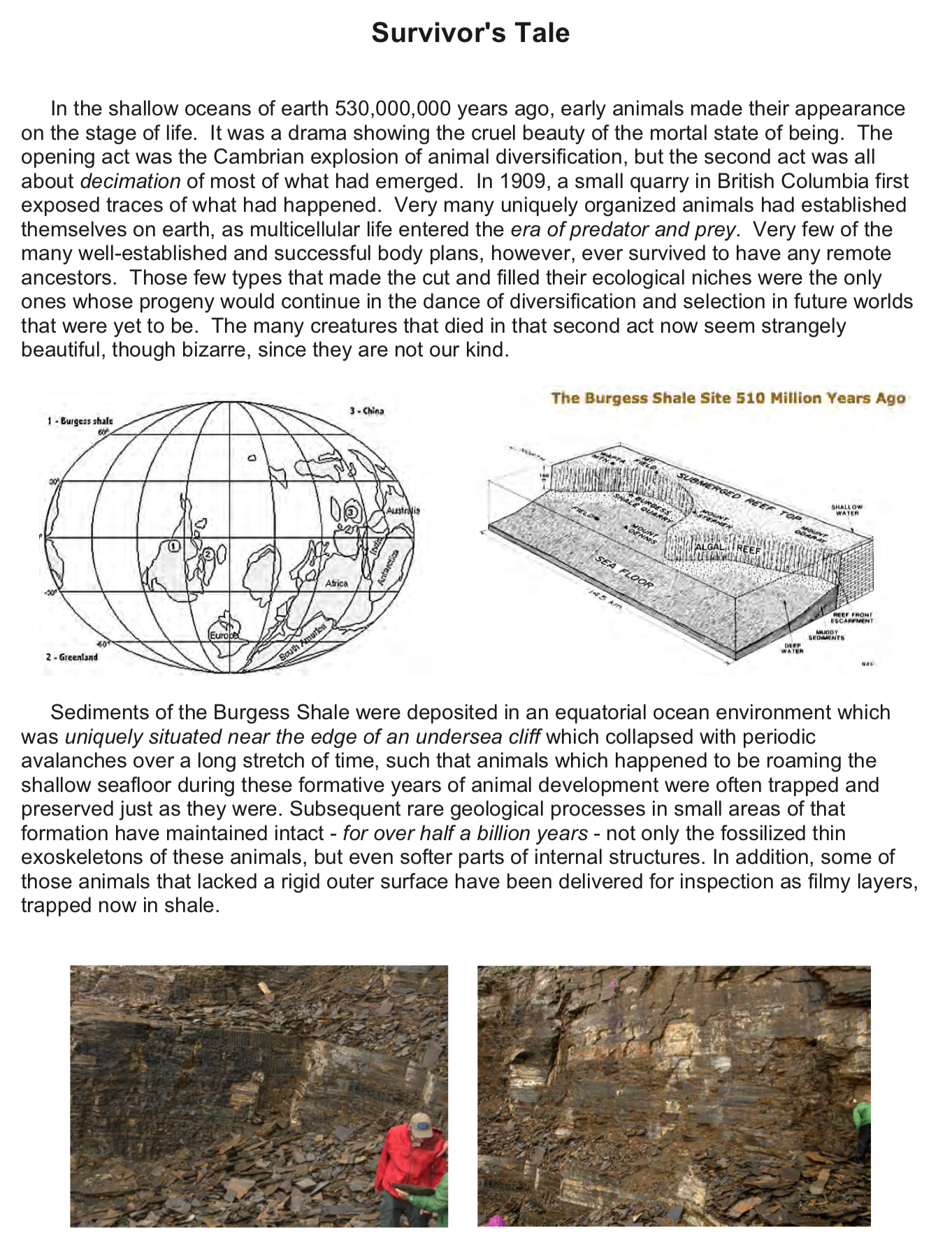 Screen Shot 2019-01-04 at 7.18.09 AM.png