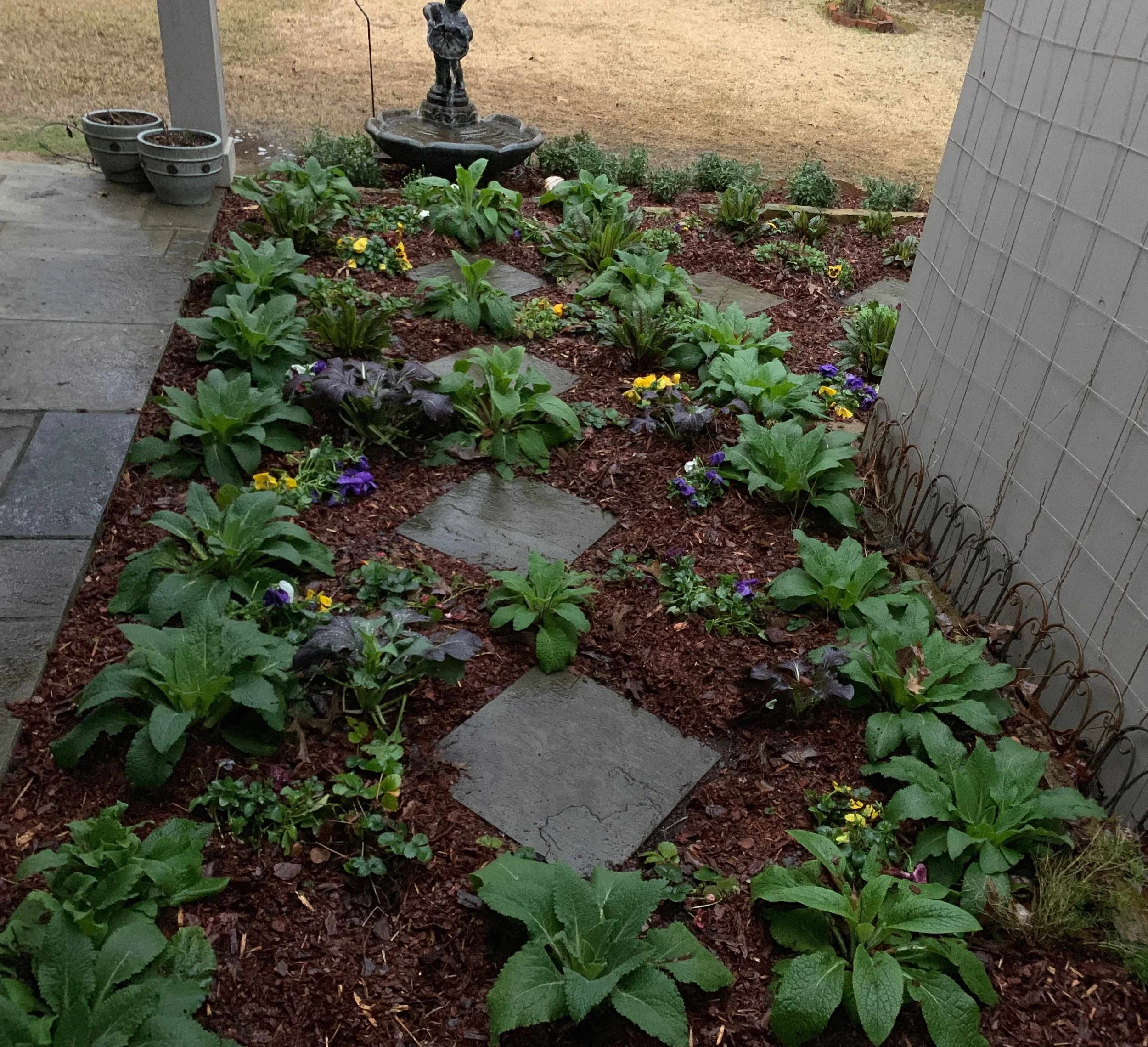garden - 2.17.19 ... looking east.jpg