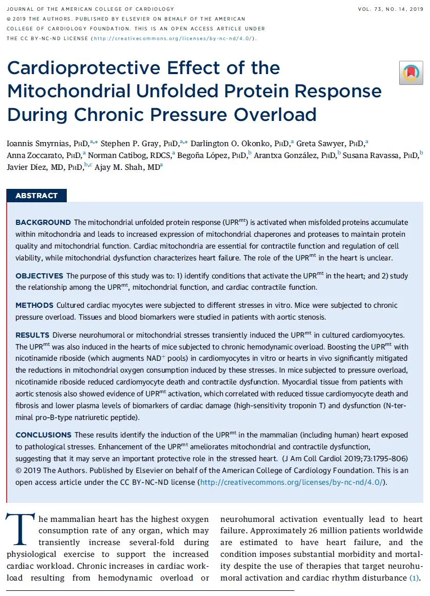 JACC article - cardiac mitochondria 1.JPG