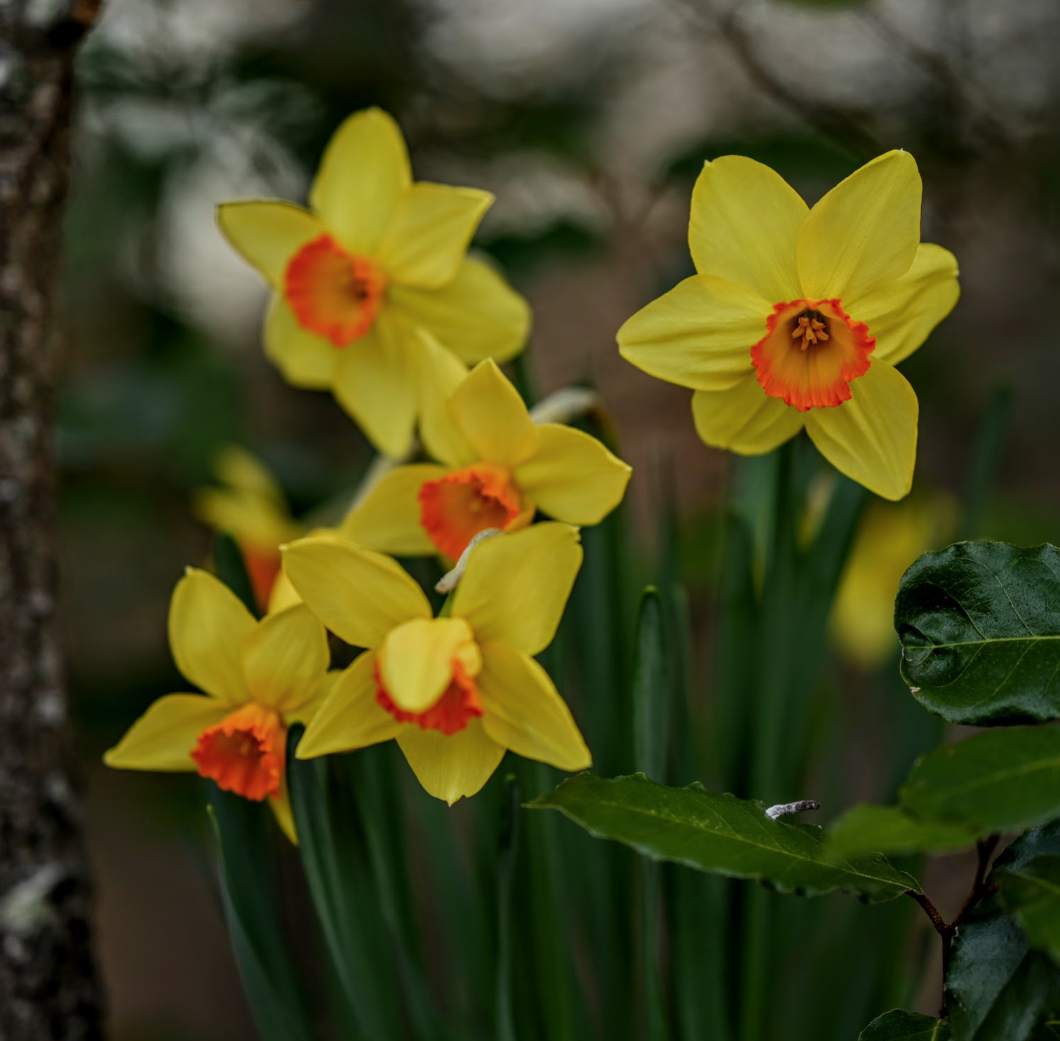 Screen Shot 2020-01-31 at 2.16.22 AM.png