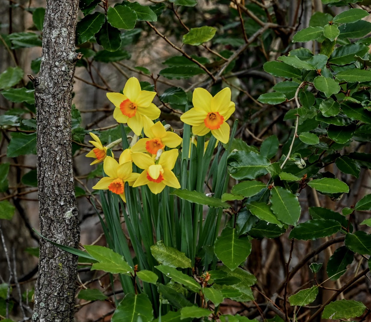 Screen Shot 2020-01-31 at 2.19.03 AM.png