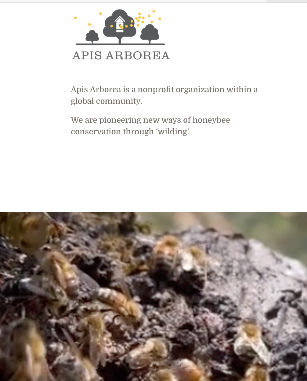 Apis Arborea website