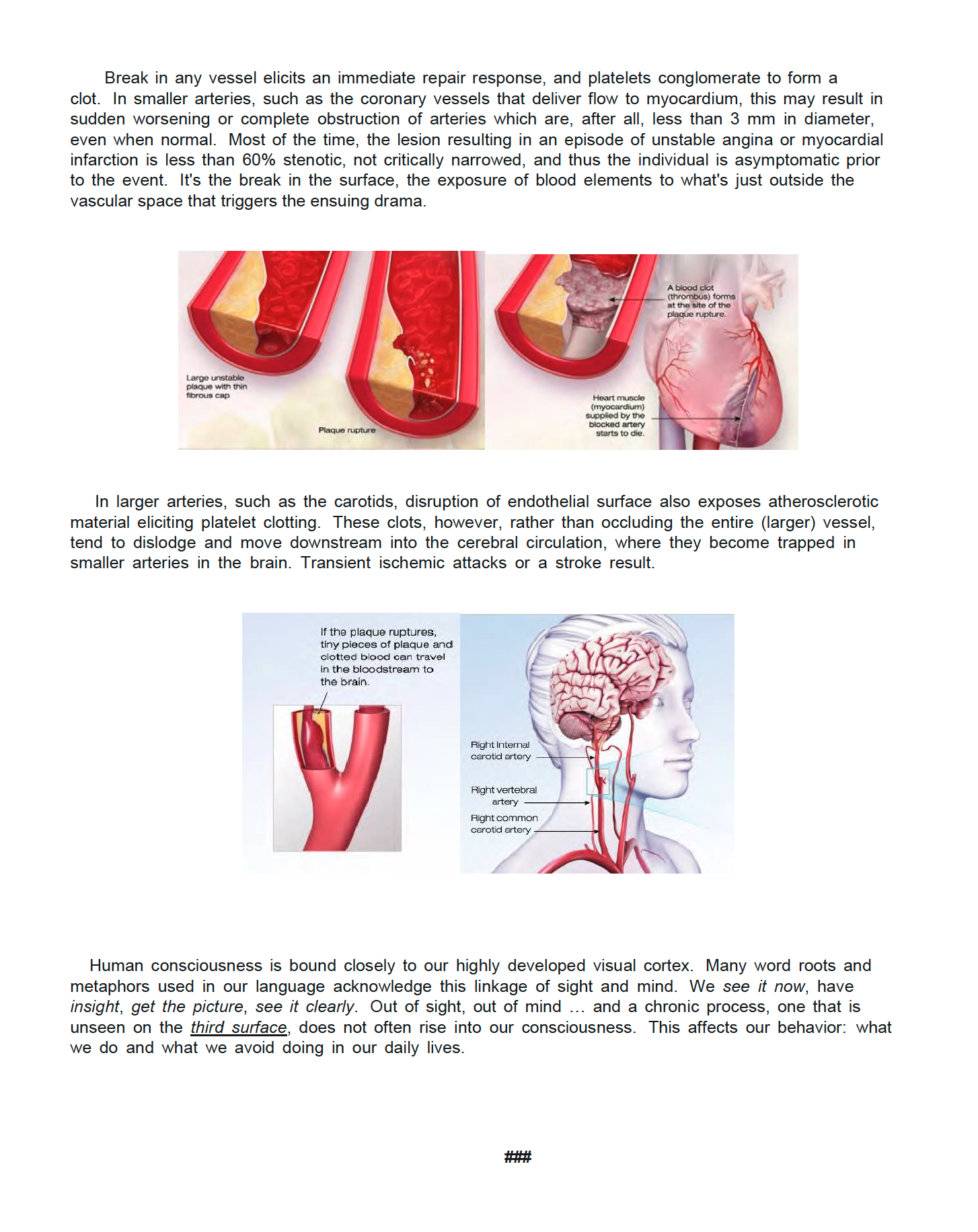 Screenshot 2025-11-12 at 4.51.01 AM.png