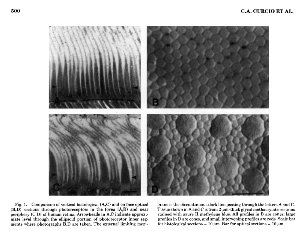 Screenshot 2025-12-15 at 9.49.36 AM.png