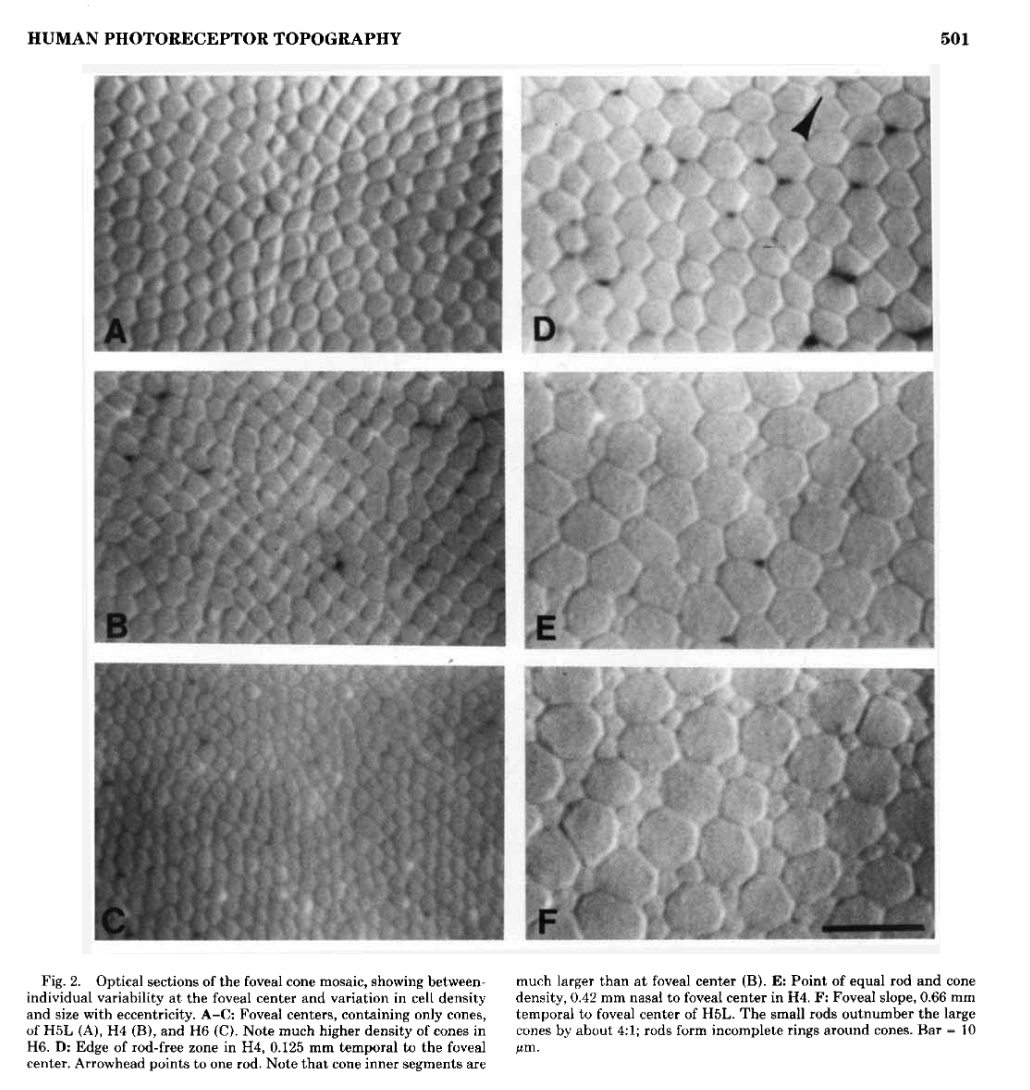 Screenshot 2025-12-15 at 9.49.56 AM.png