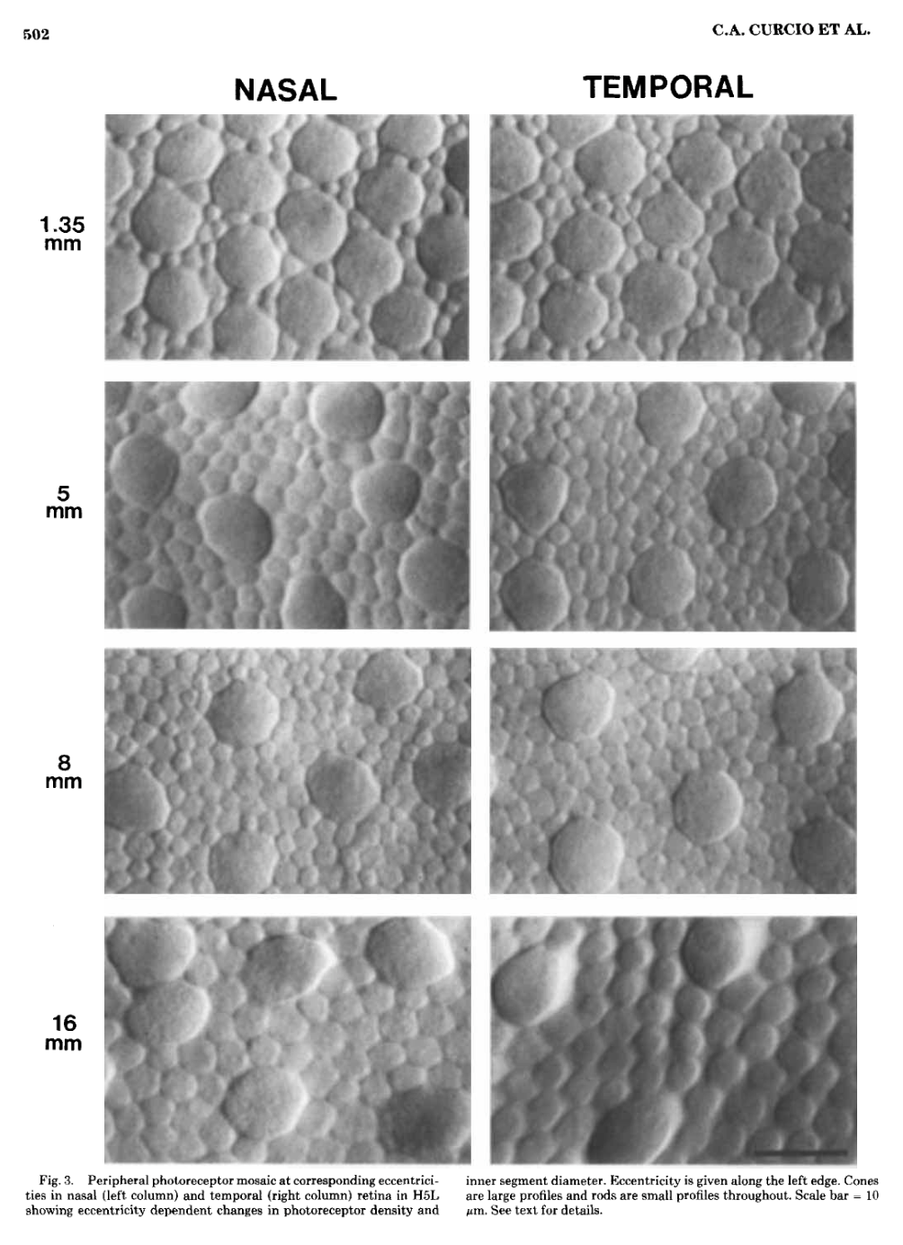 Screenshot 2025-12-15 at 9.50.09 AM.png