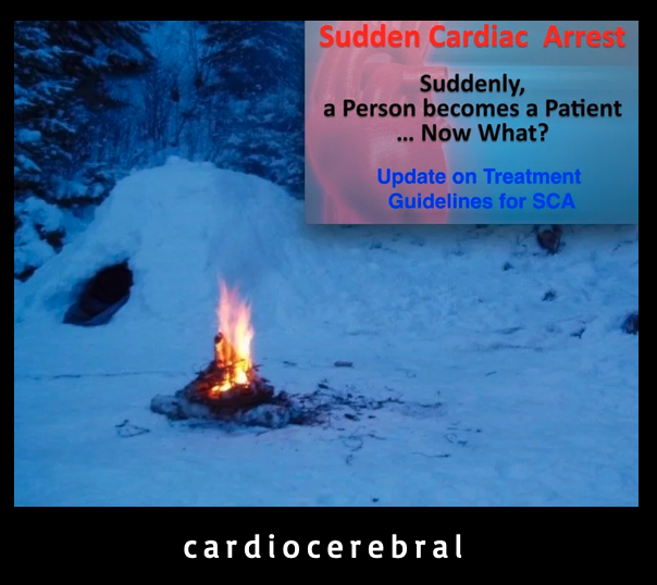   See:     *cardiocerebral‍*     webpage  