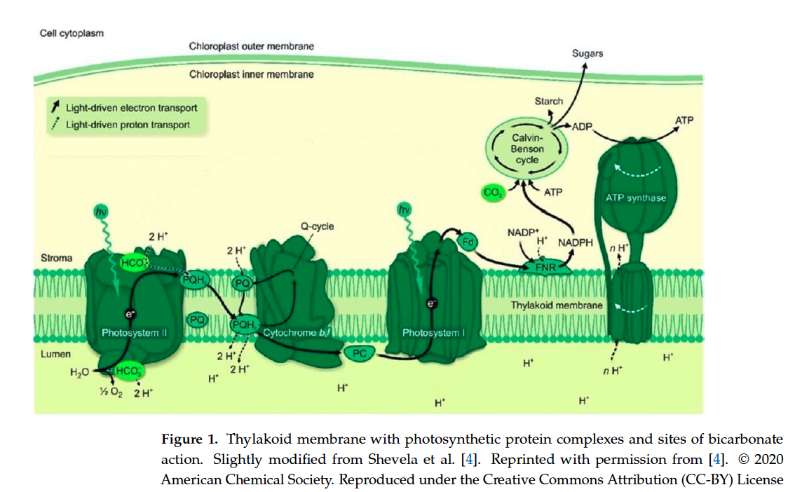 Screenshot 2026-01-20 at 6.33.39 PM.png