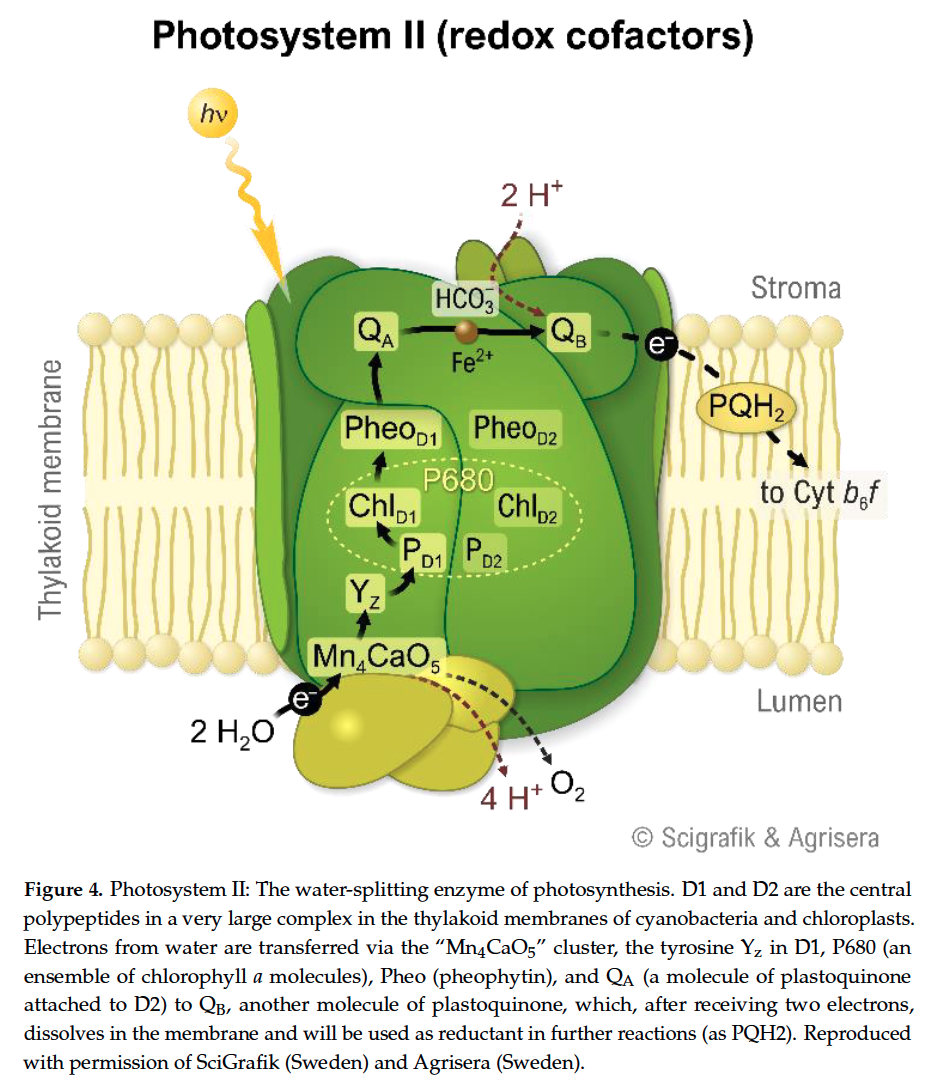 Screenshot 2026-01-20 at 6.33.56 PM.png