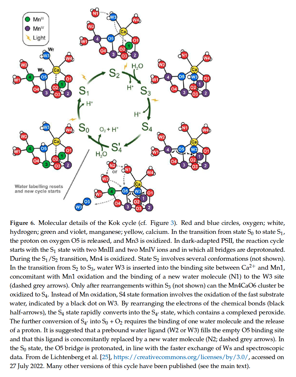 Screenshot 2026-01-20 at 6.34.13 PM.png