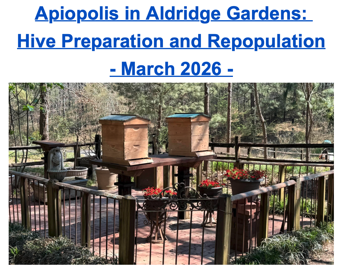    →  see image album here   