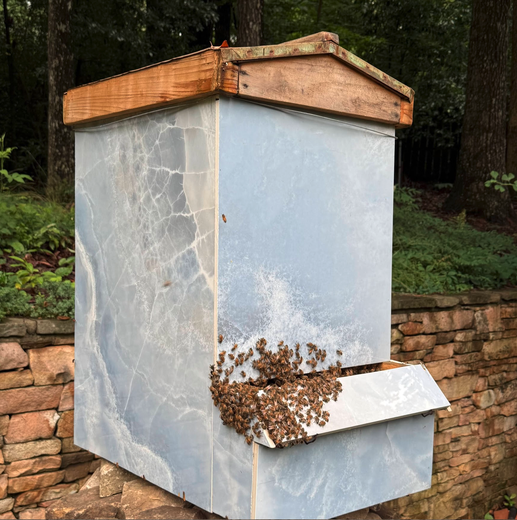   Blue Hive  -  May 2026  
