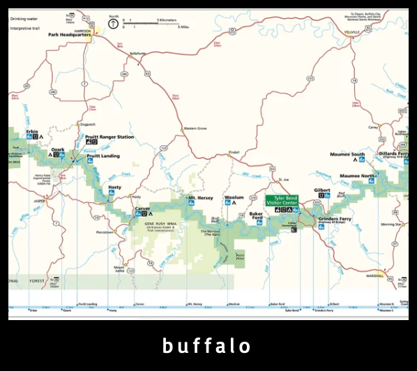    →  link to *buffalo* webpage   