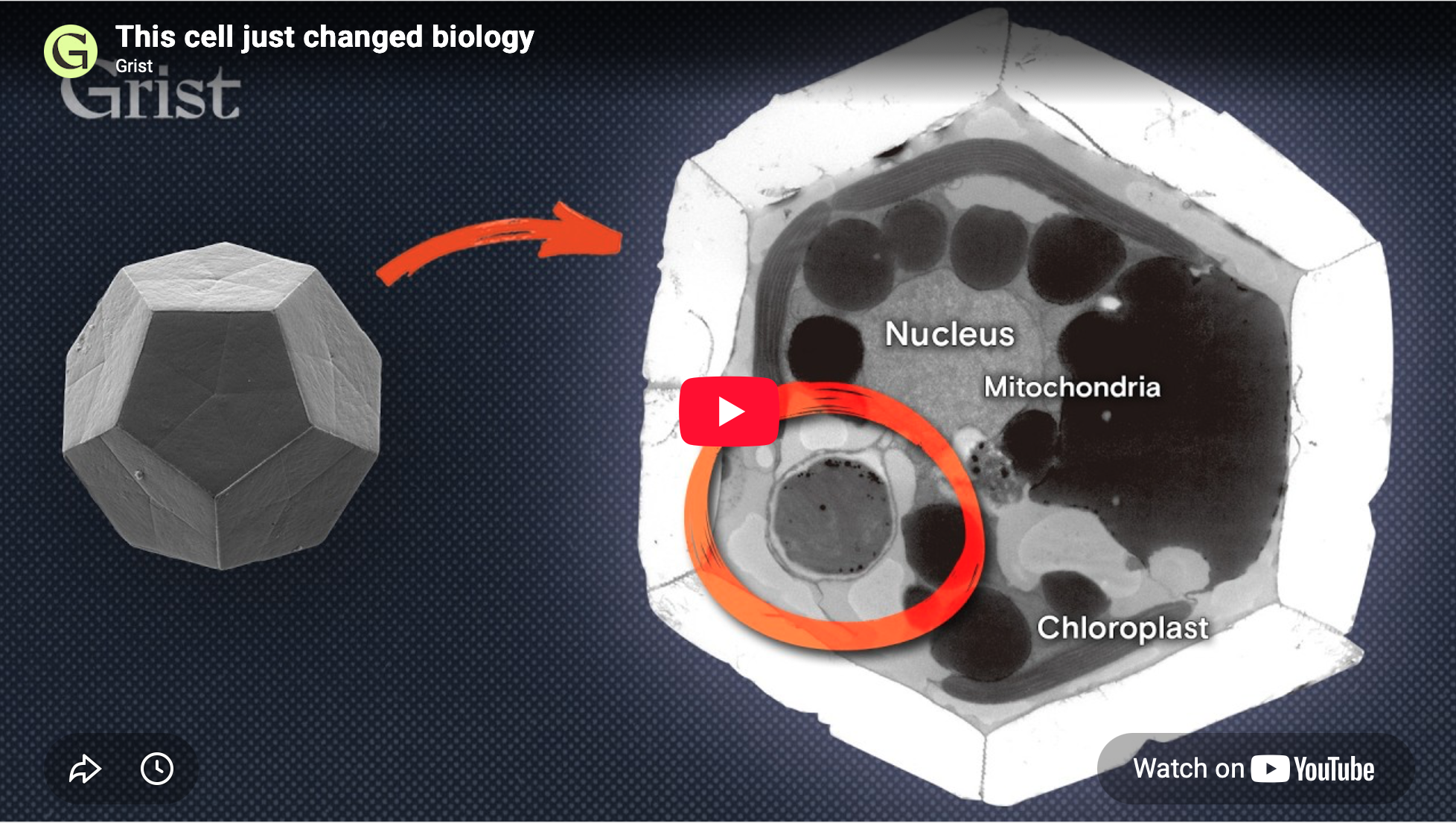    →  link to 7/9/2026 video, explaining the discovery   