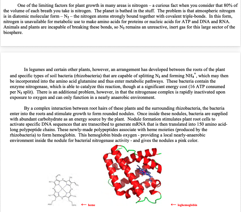    →  link to full essay      →  link to *hemoglobin* webpage   