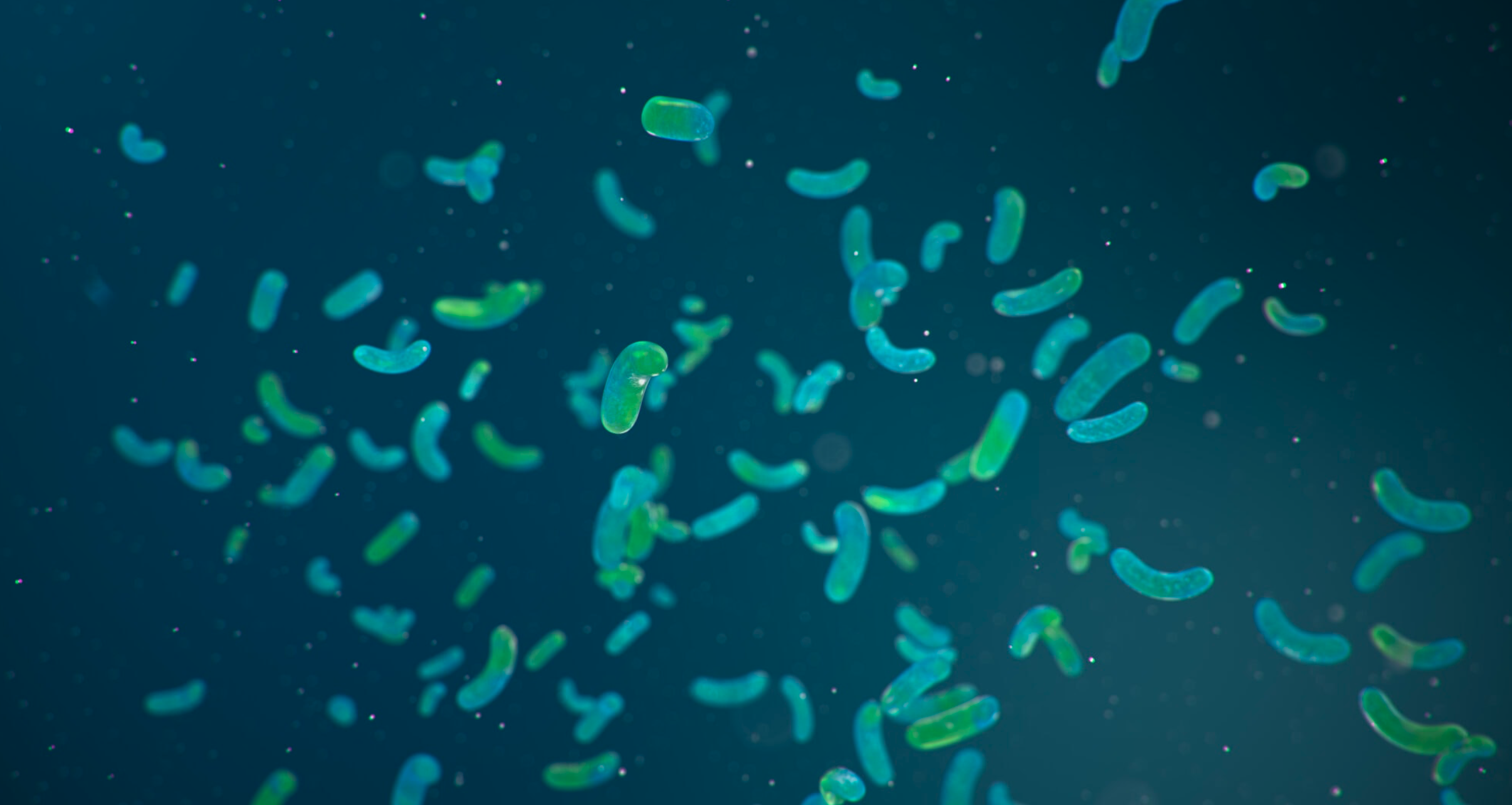    source   :  The Nitrogen Cycle: Part One (Ammonia Oxidizers)   The oxidation of ammonia (NH3) to nitrite (NO2 −) is essential for nutrient turnover in most freshwater and marine waters as well as in soils. The three groups of microorganisms that o