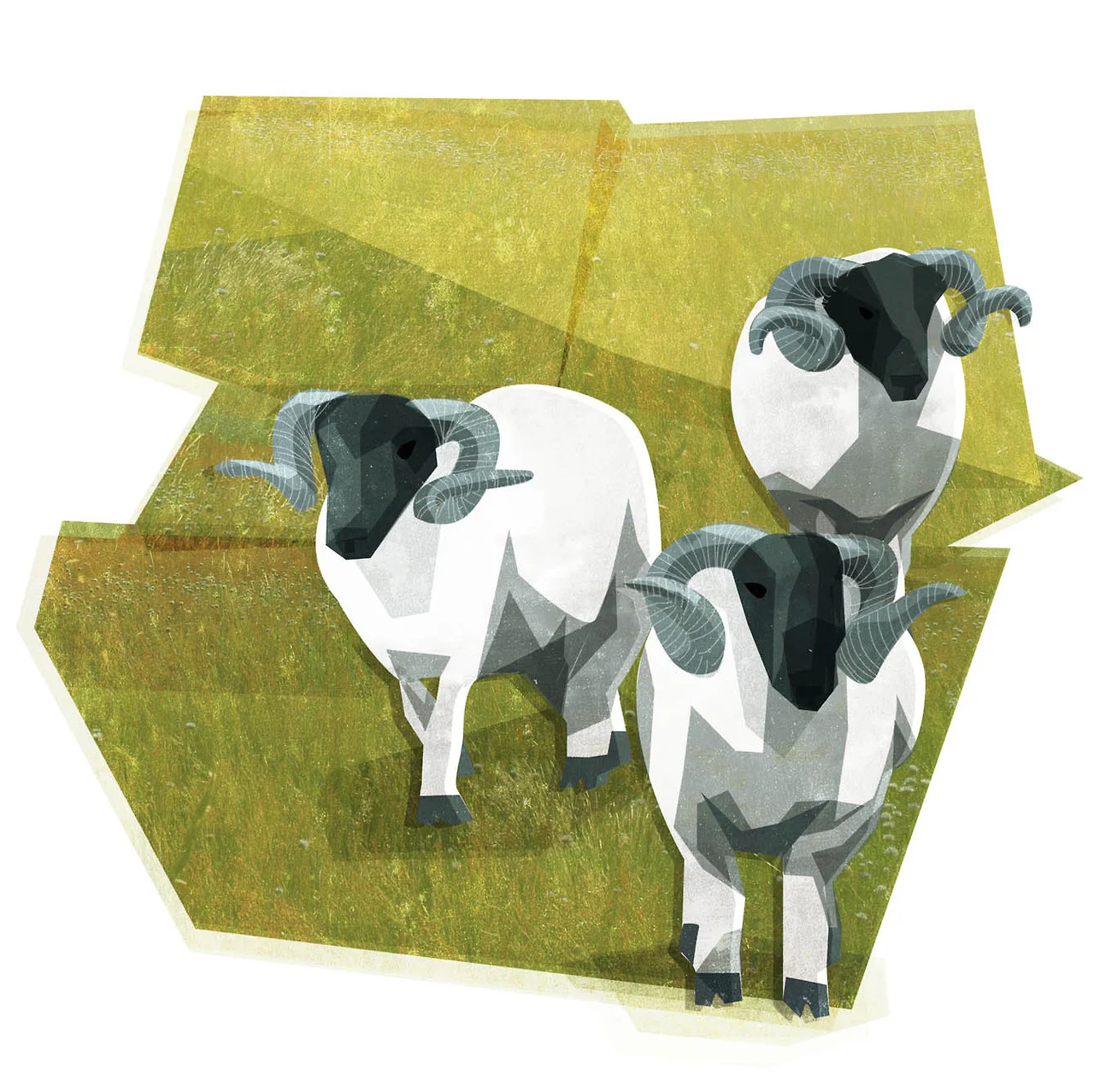 I haven’t blogged anything thing in a while - I’ve got a stack of stuff I keep meaning to upload when I get the chance.
Anyway here are some sheep. They’re from Lancashire!
lots more Lancashire related updates soon….