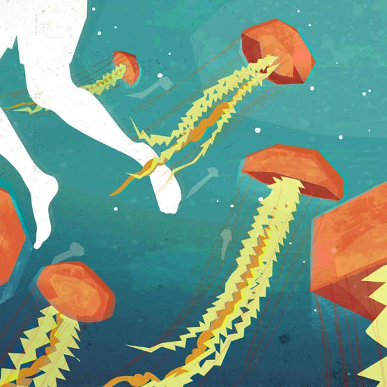 jellyfish_crop.jpg