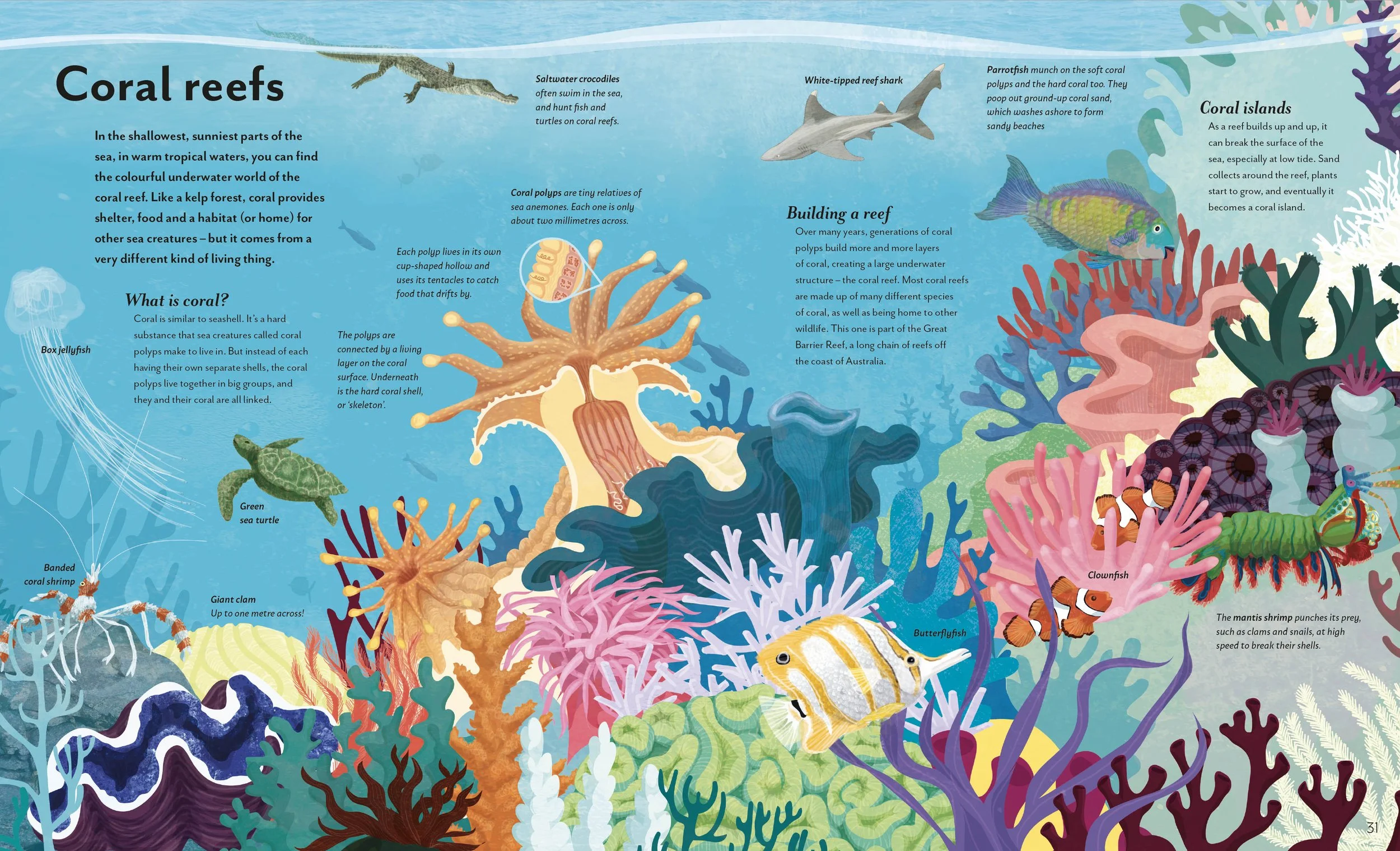 waterworlds_spread7.jpg