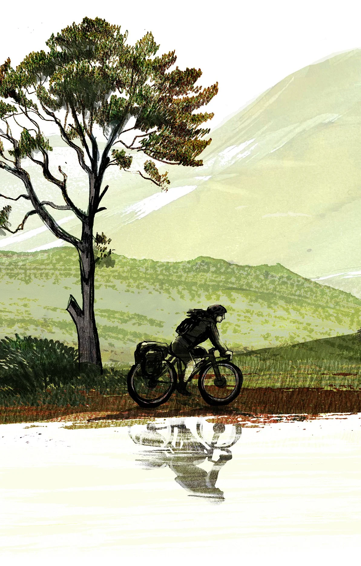 auntum cycle_crop.jpg