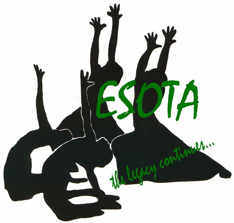 ESOTA logo 100k_full.jpeg