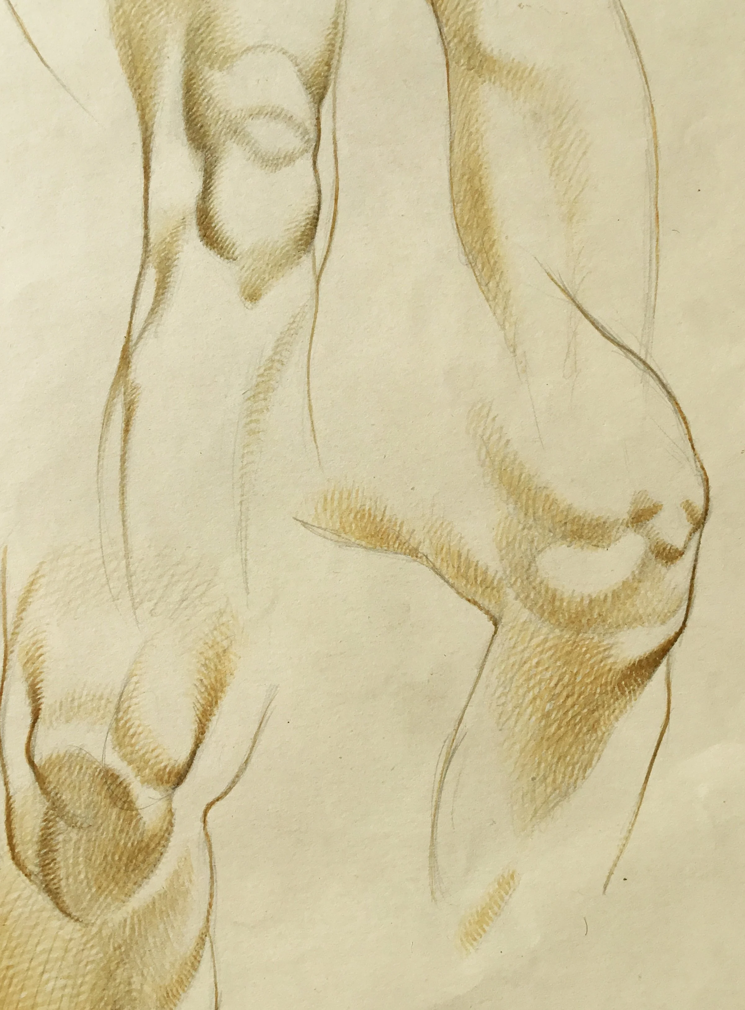 13918_verso_close.JPG