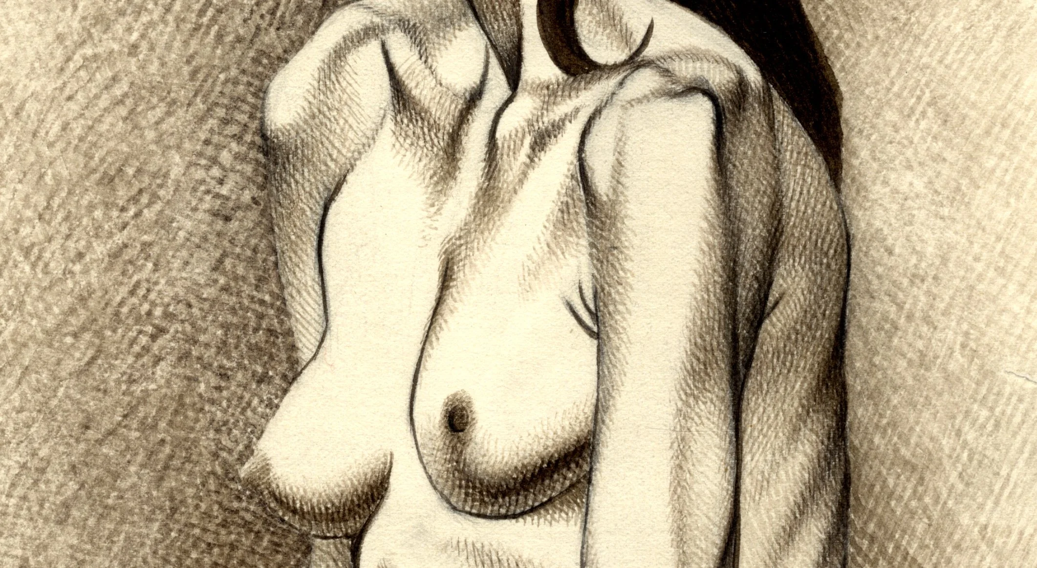 14258_close_torso.jpg