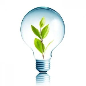 eco-led-bulb-300x300.jpg