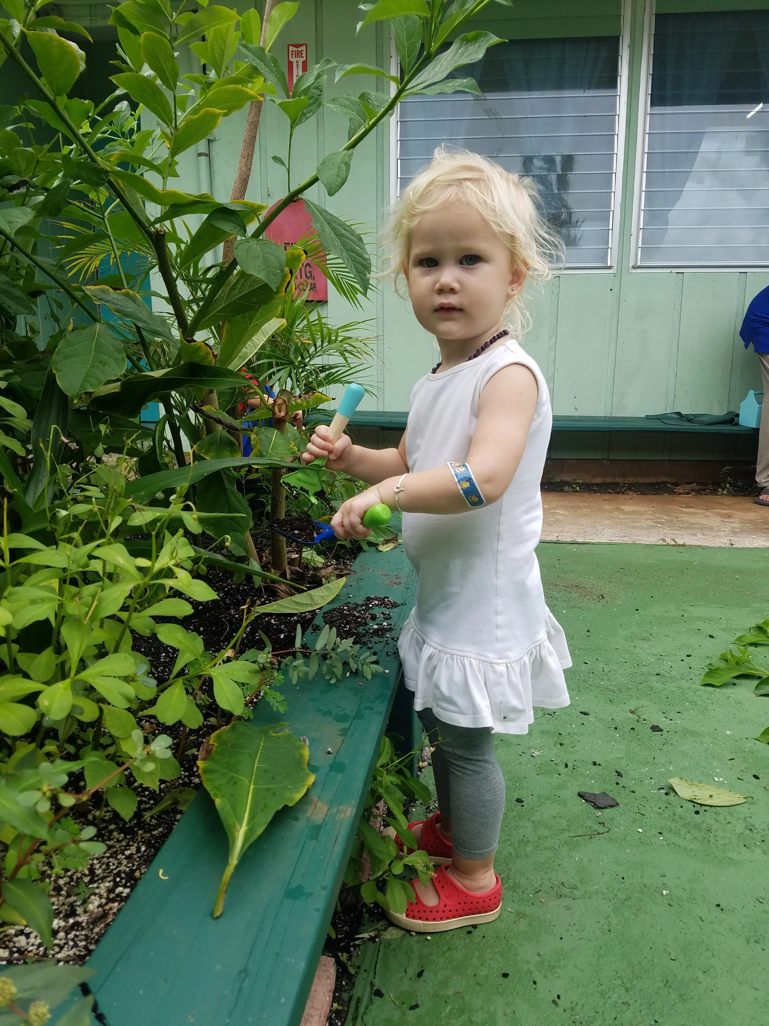 20171109_104154.jpg