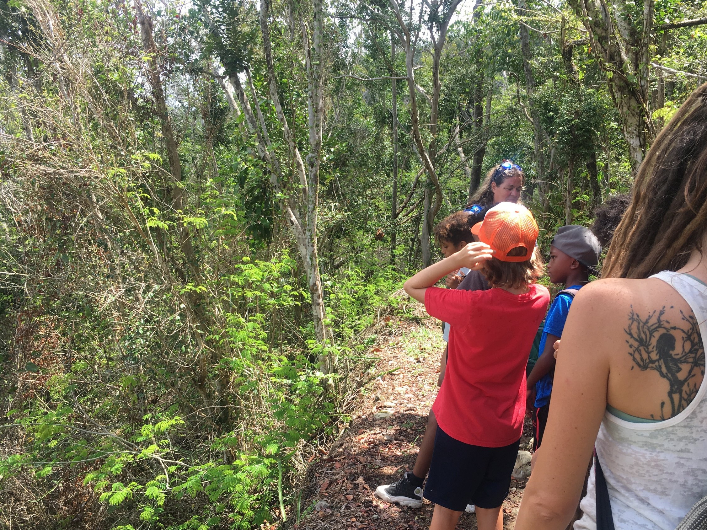 Students enjoy a tour from the St. John National Park Service.