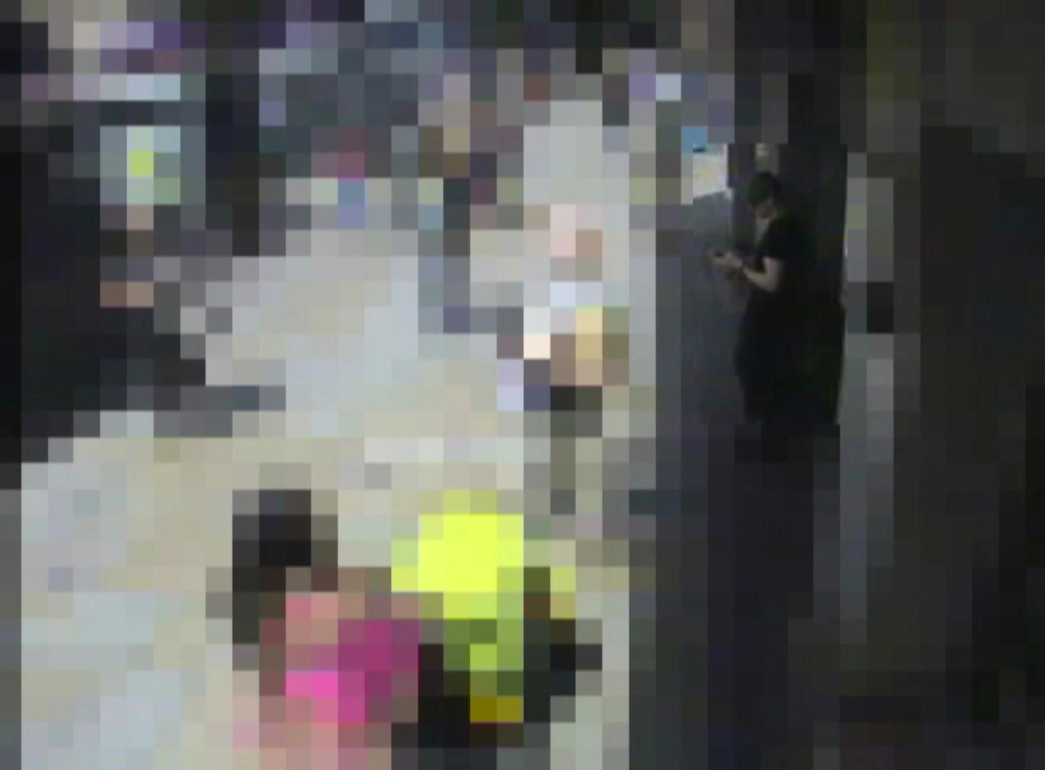CCTV PREVIEW-25.jpg