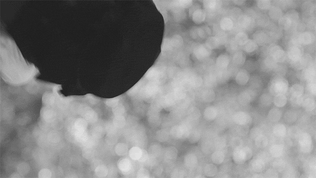 XERO-PROCESS-3.gif