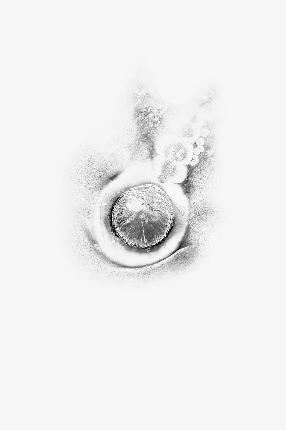 XERO_WEB-20.jpg