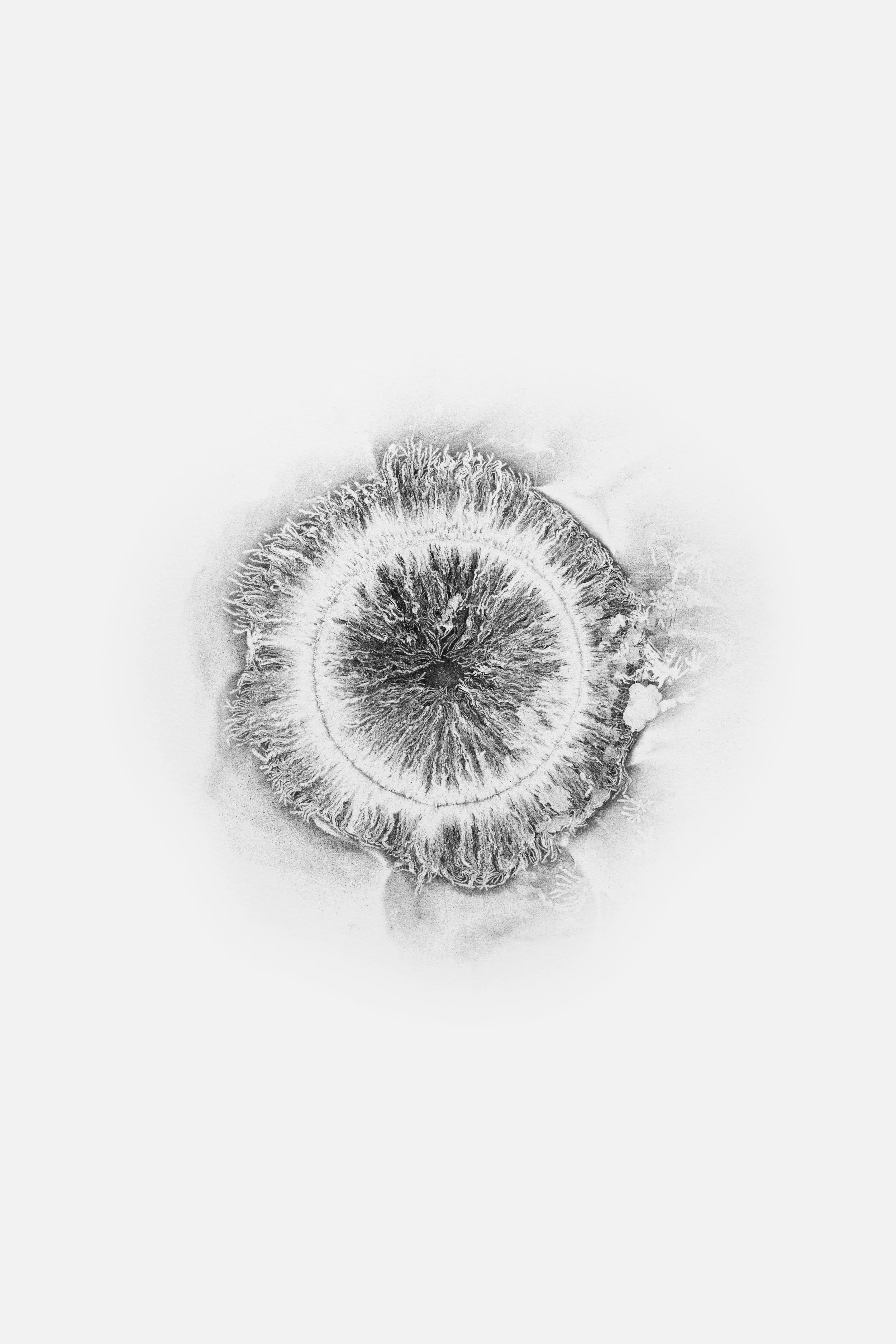 XERO_WEB-48.jpg