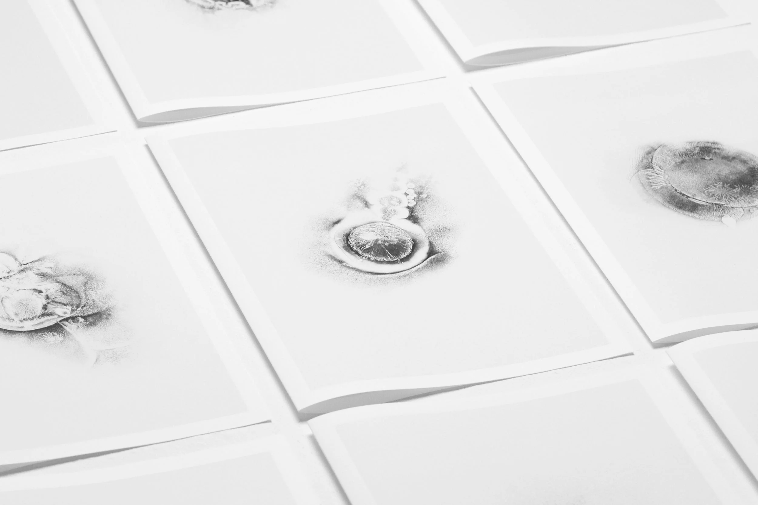 XERO-BOOK-WEB-19.jpg