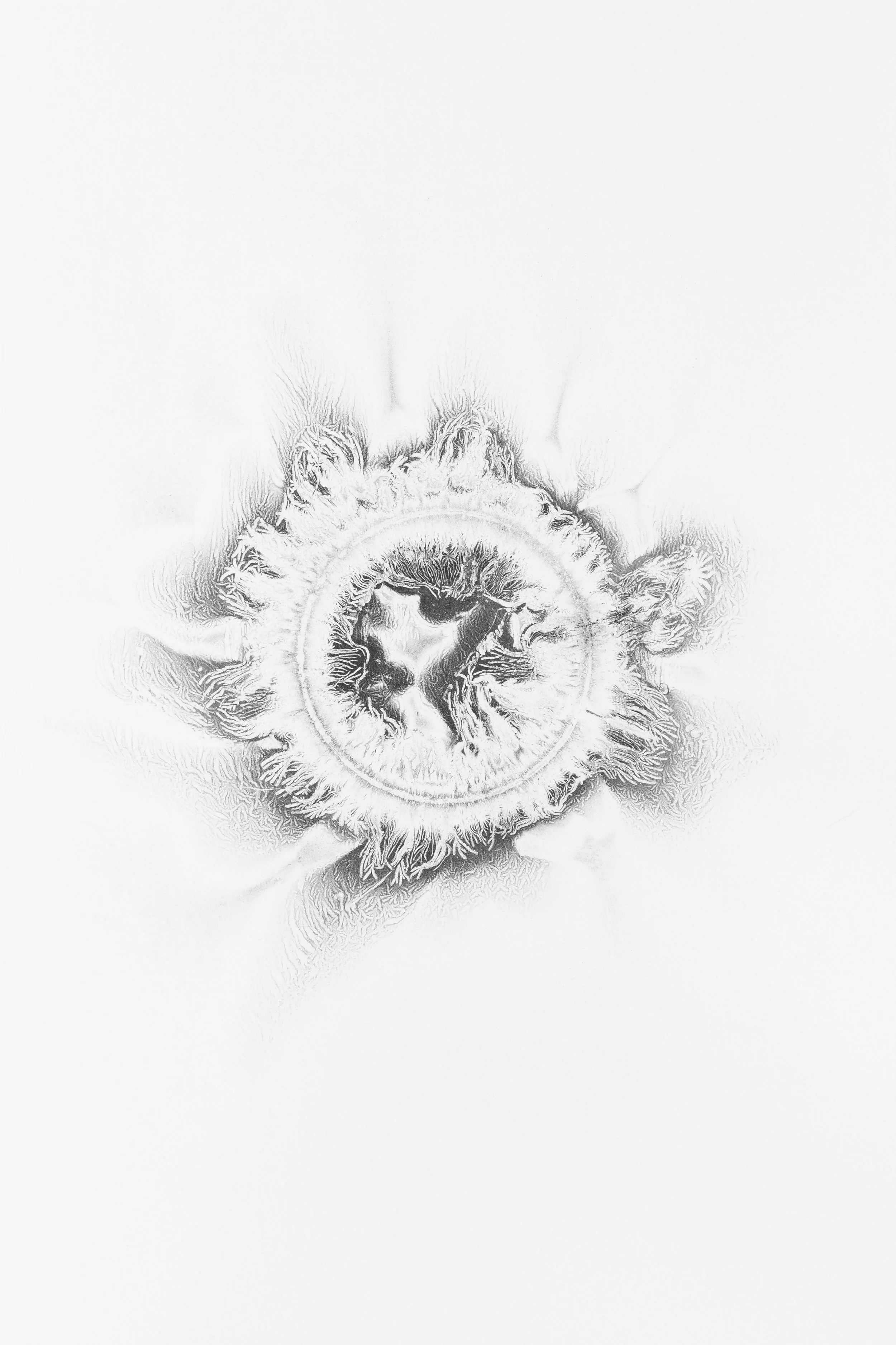 XERO-WEB-2016-52.jpg