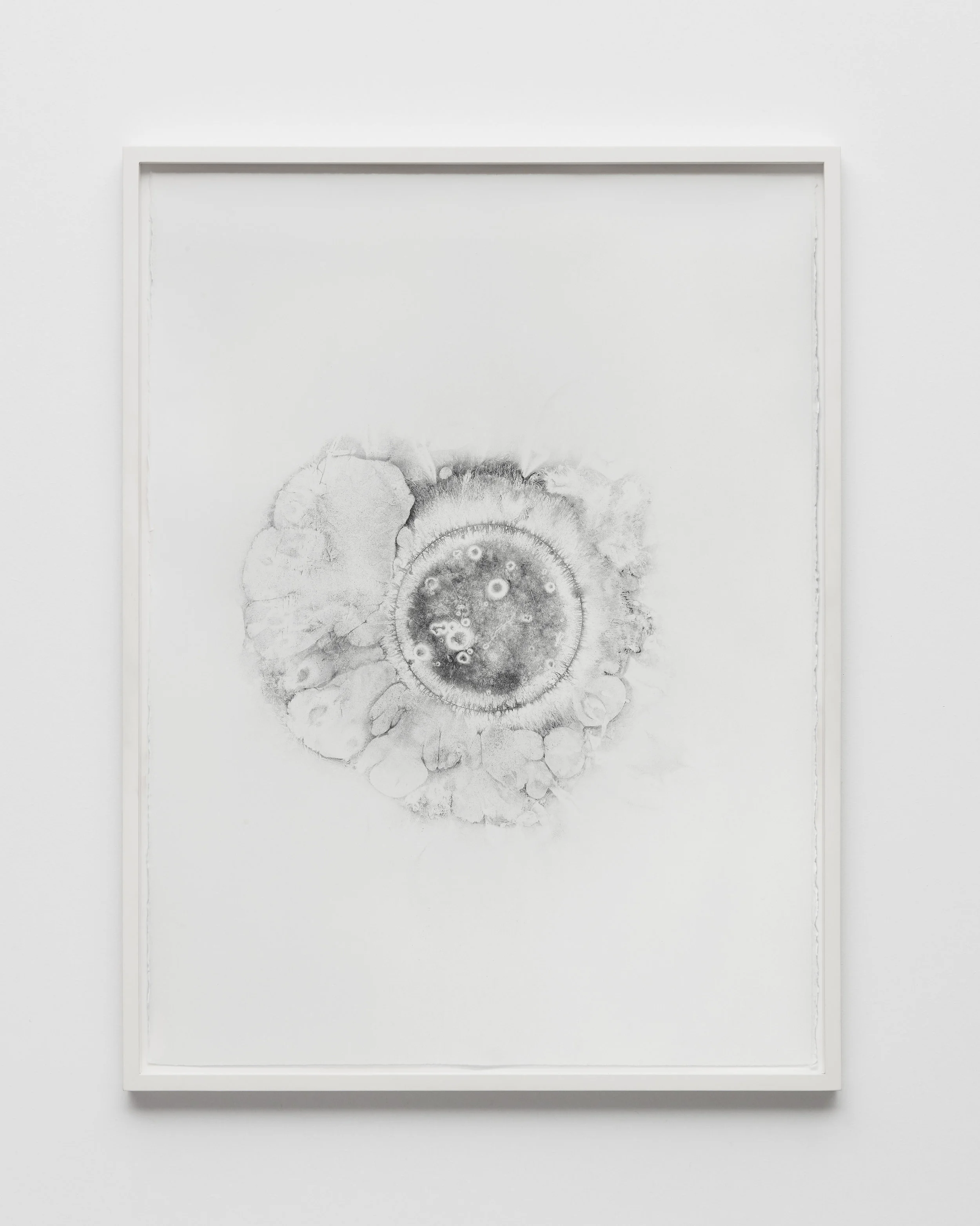 XERO_FRAMED_WEB__75.jpg