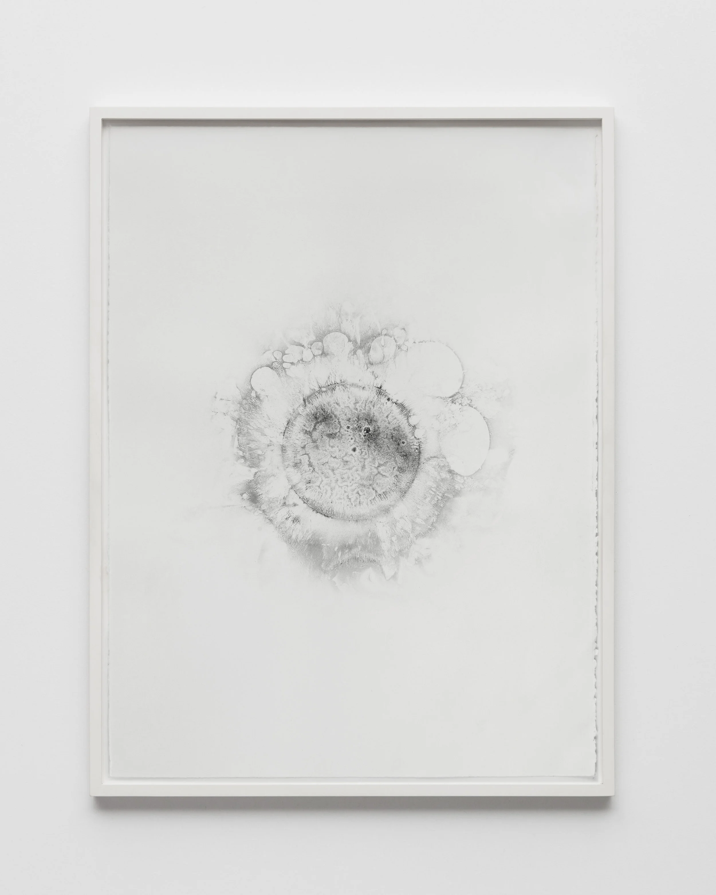 XERO_FRAMED_WEB__79.jpg