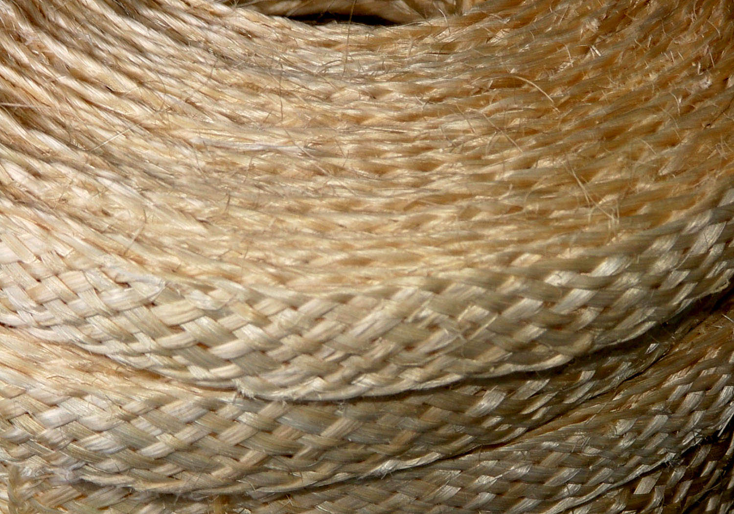 DSCF3932 Sisal.jpg