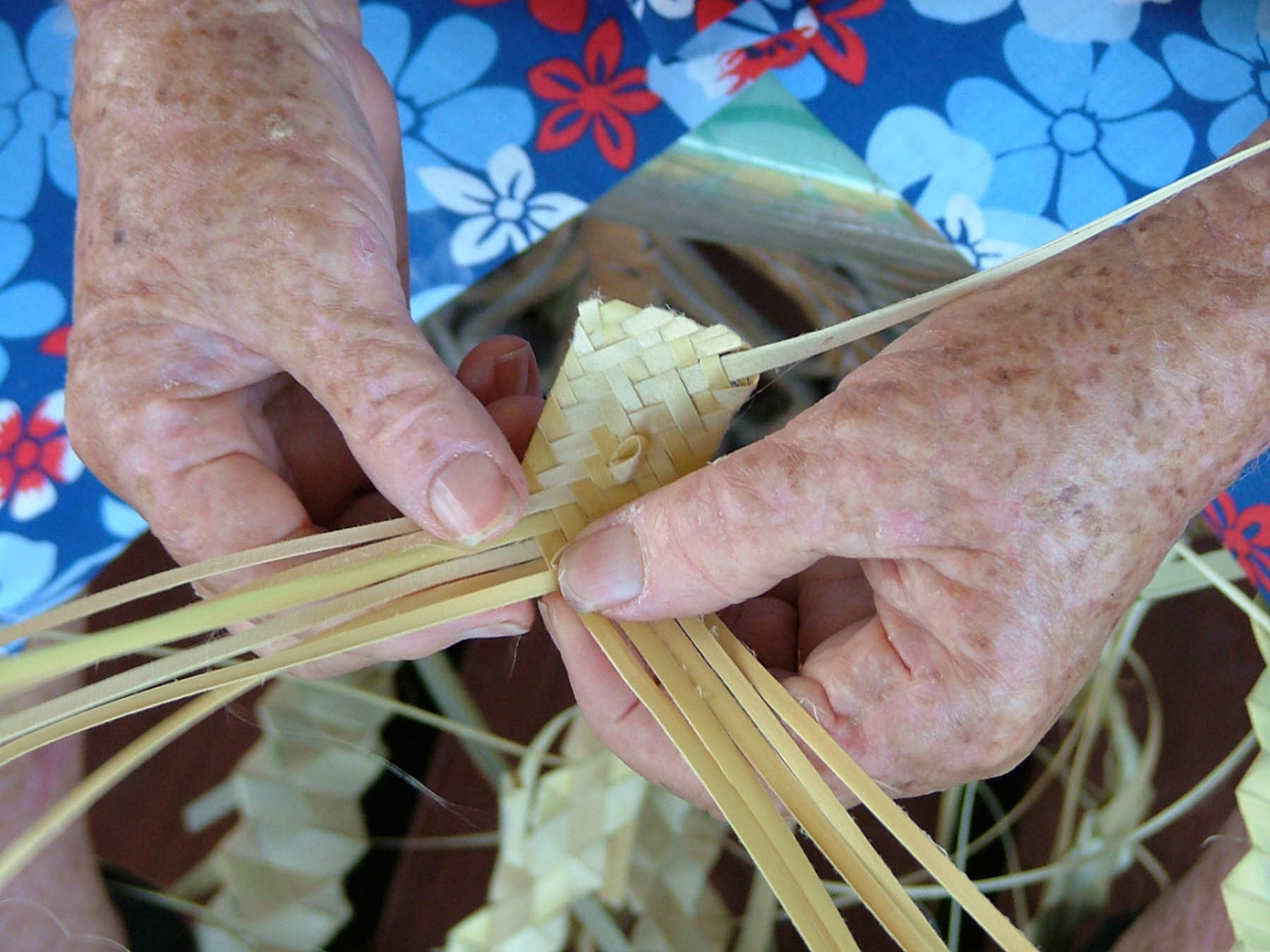 DSCF6358 Barbara Jesubatham's Mom Hands.jpg