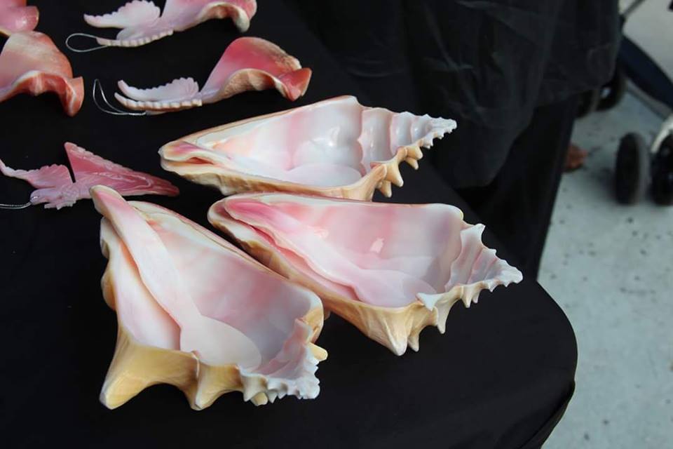 conch bowls.jpg