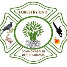 Forestry logo.jpg