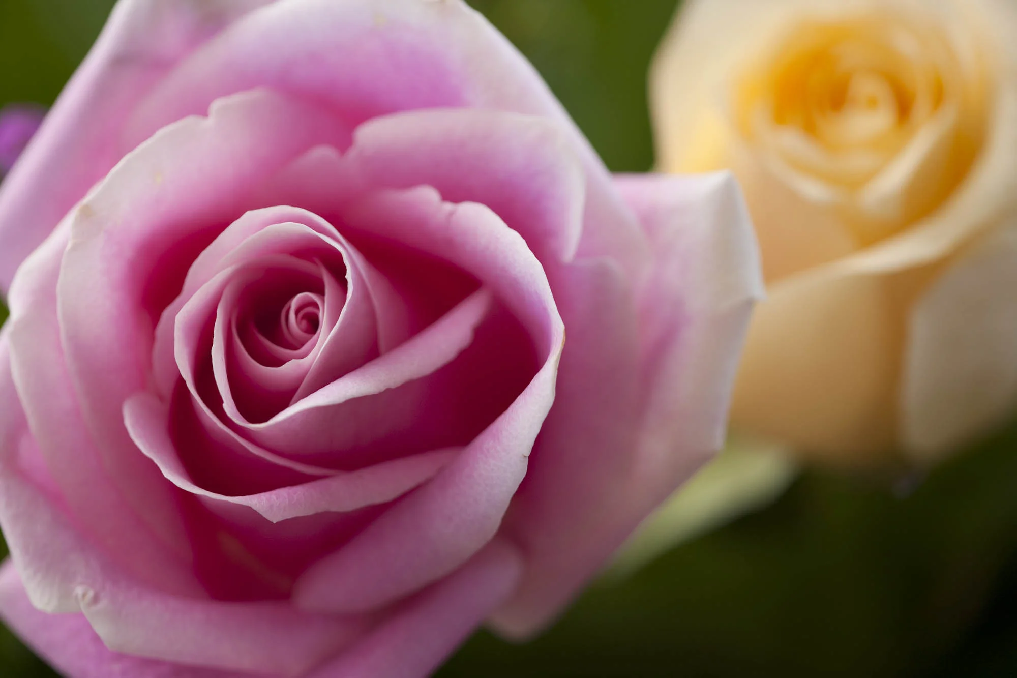 Creative-Collaborative_6119.jpg