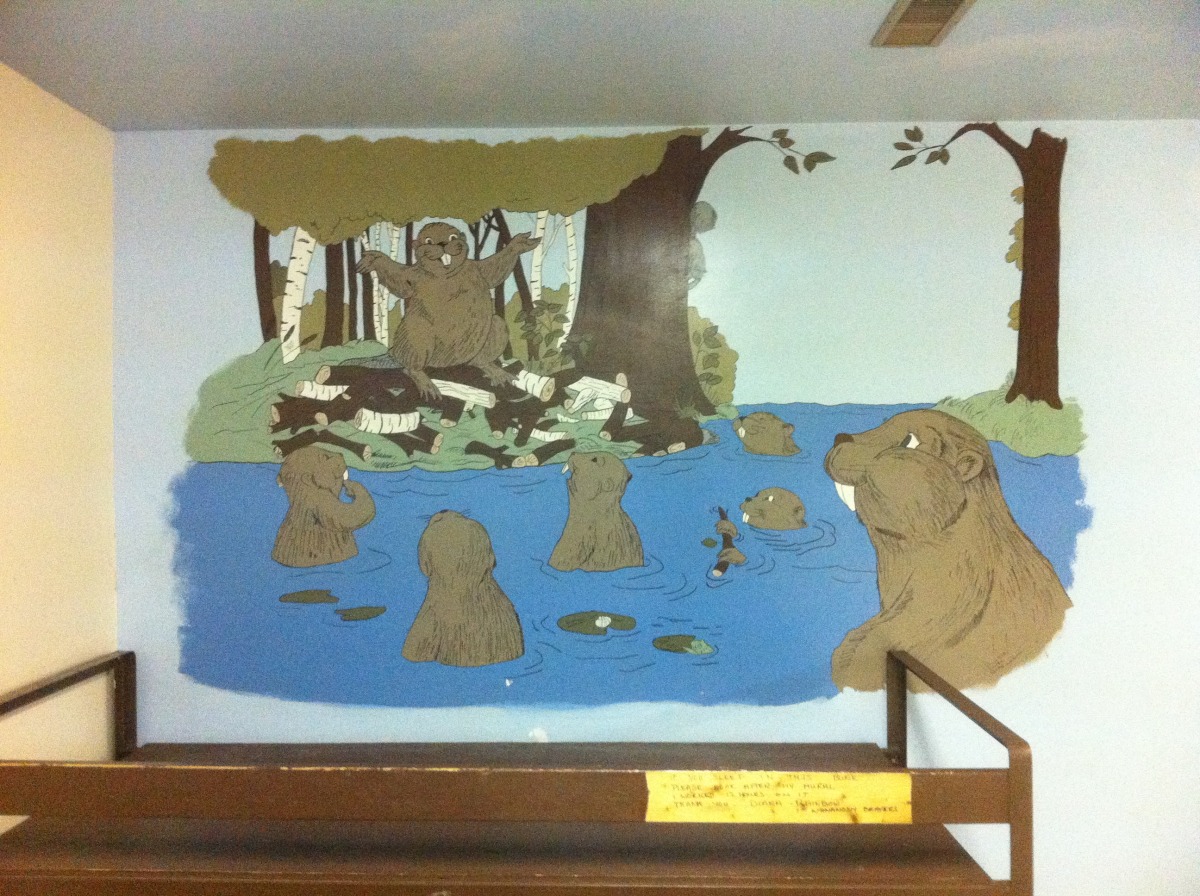 beaver13.jpg