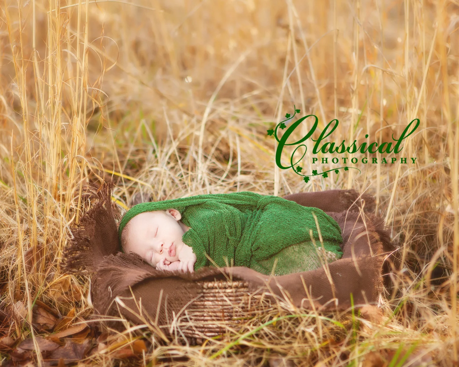 Lindahl_Cassie066_E_FB.jpg