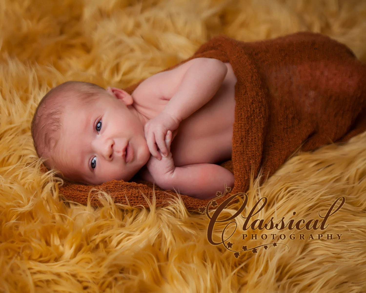 Lindahl_Cassie030_E_FB.jpg