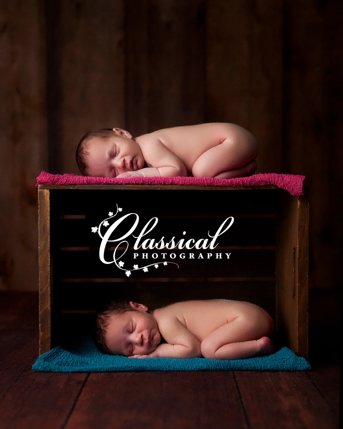 Harrison_Rachael057_E_FB.jpg