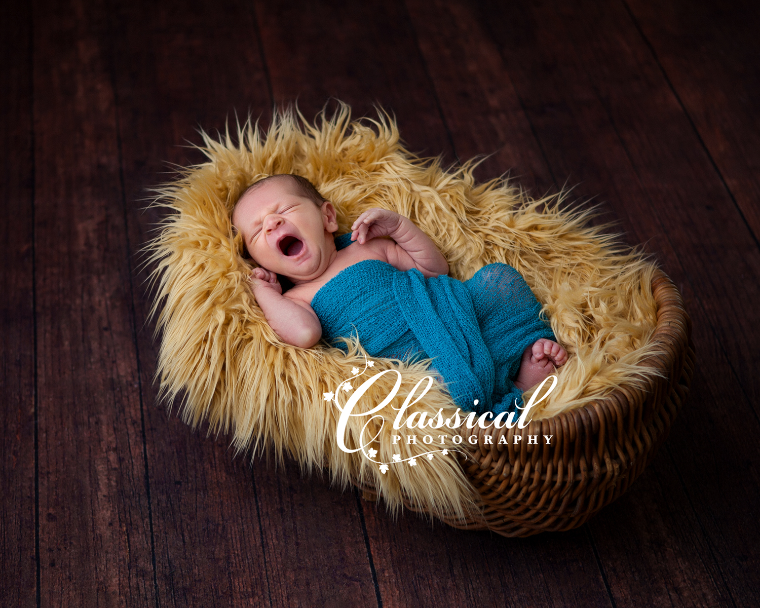Shealey_Ashley021_E_FB.jpg